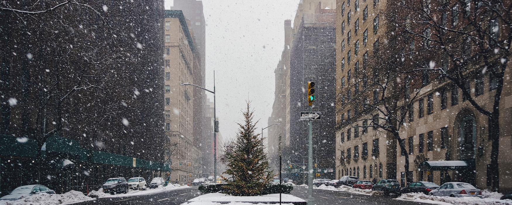 Luxury New York Holidays, Travel & Packages 2024